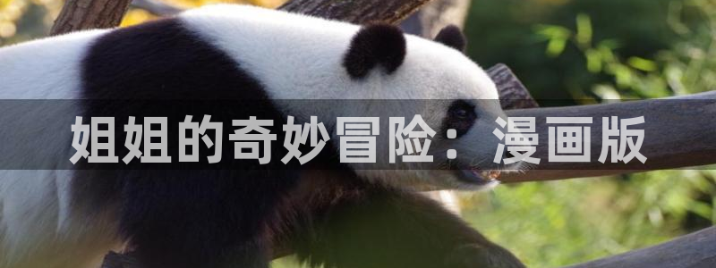 海滩女神漫画完整版：姐姐的奇妙冒险：漫画版