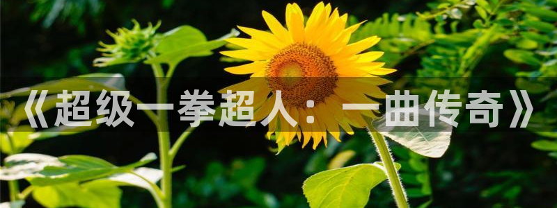女神漫画大全免费漫画：《超级一拳超人：一曲传奇》